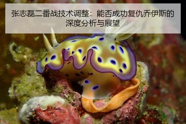张志磊二番战技术调整：能否成功复仇乔伊斯的深度分析与展望