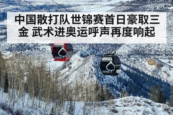 中国散打队世锦赛首日豪取三金 武术进奥运呼声再度响起