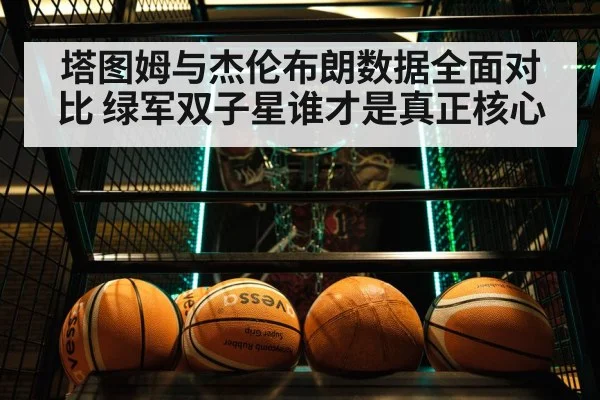 Boston Celtics basketball game